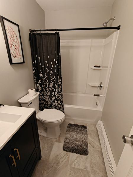 Bathroom remodel after: new tub surround, toilet and vanity